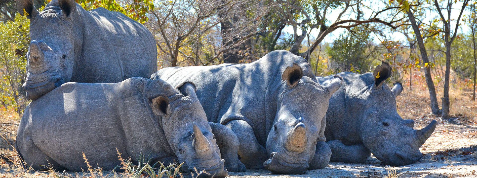 annapurna-base-camp-trek