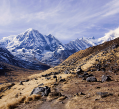 activity-last-section-image